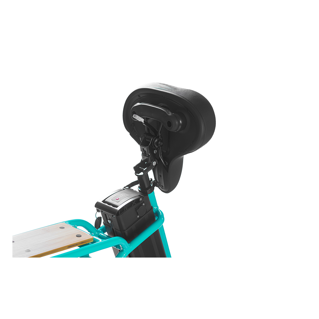 Passenger back rest and seat pad fitted to the rear rack of a ROOTS RIDER Rebel 2