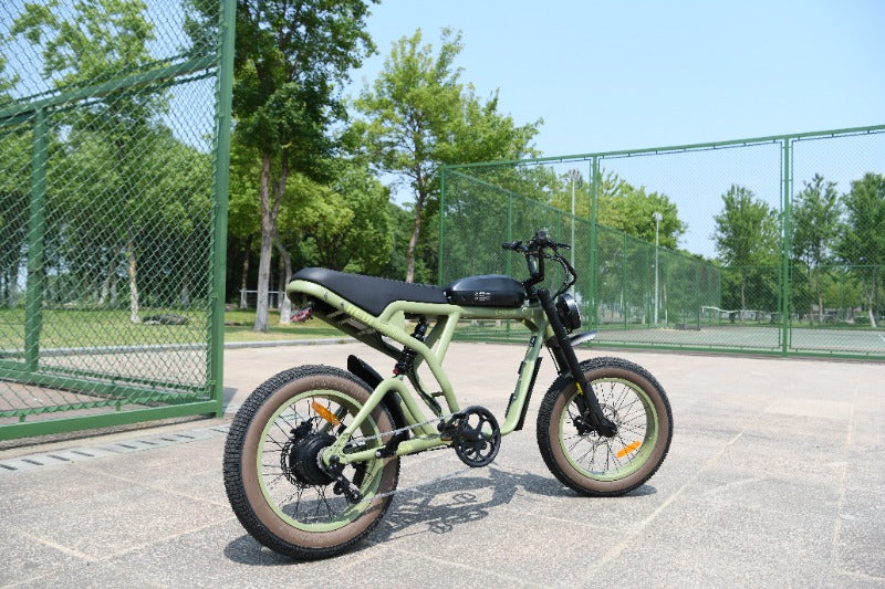 Owner photo: Thomas and their Roots Rider Cougar electric bike