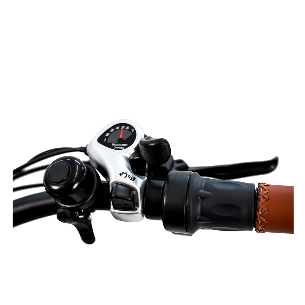 Roots Rider Cheetah 2 Pro high performance electric bike product image