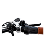 Roots Rider Cheetah 2 Pro high performance electric bike product image
