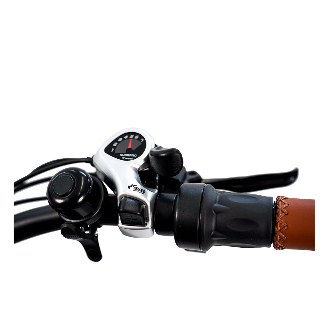 Roots Rider Cheetah 2 Pro high performance electric bike product image