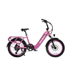 Roots Rider Runabout 2 step through cargo electric bike product image