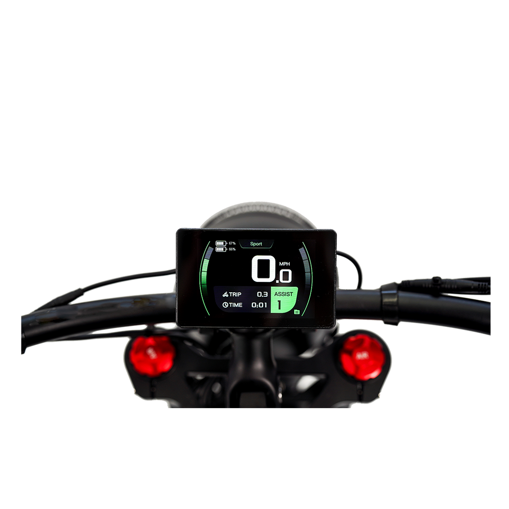 Roots Rider Cheetah 2 Pro high performance electric bike product image