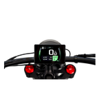 Roots Rider Cheetah 2 Pro high performance electric bike product image