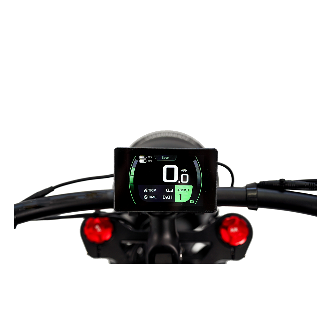 Roots Rider Cheetah 2 Pro high performance electric bike product image