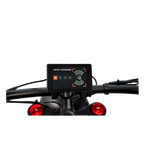 Roots Rider Cheetah 2 Pro high performance electric bike product image