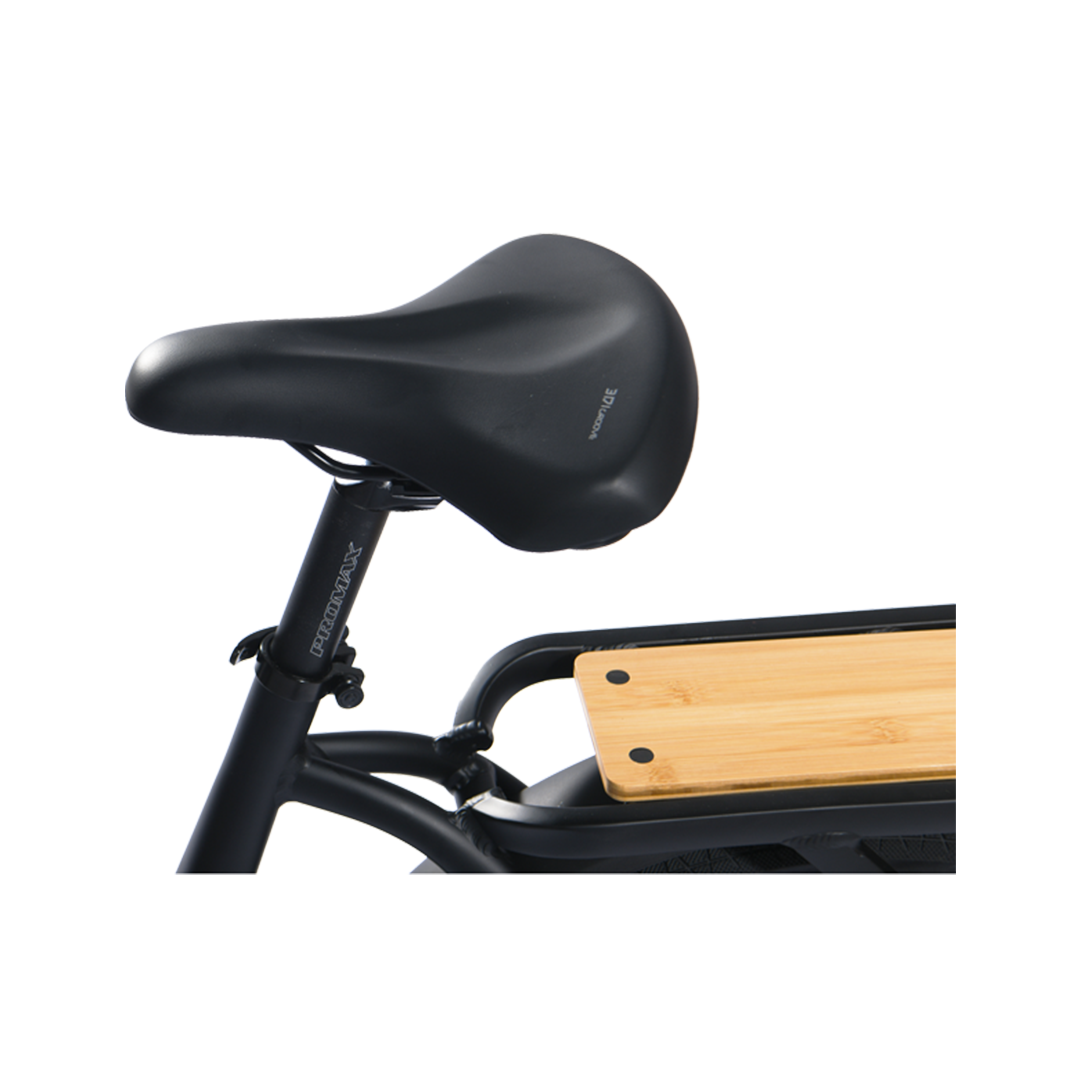 Roots Rider Runabout 2 step through cargo electric bike product image