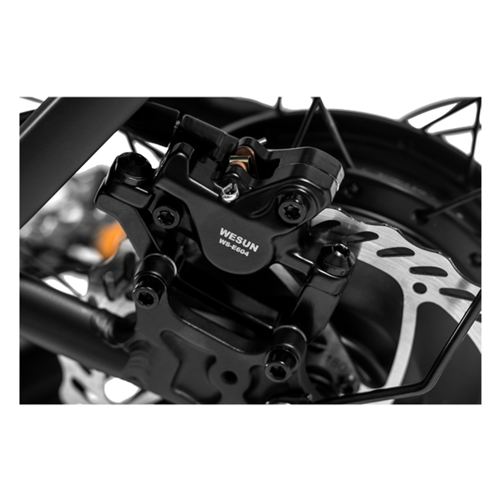 Roots Rider Runabout 2 step through cargo electric bike product image