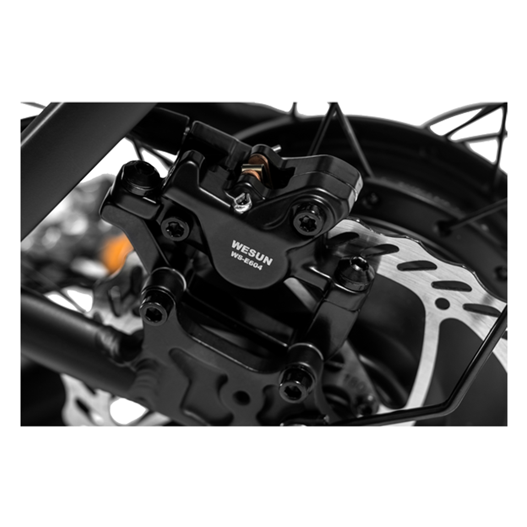 Roots Rider Runabout 2 step through cargo electric bike product image