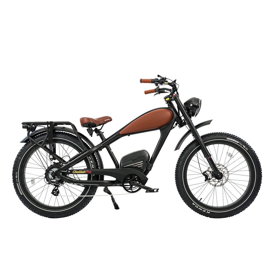 ROOTS RIDER Cheetah 2 Pro electric bike, side profile with rear rack fitted