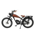 Roots Rider Cheetah 2 Pro high performance electric bike product image