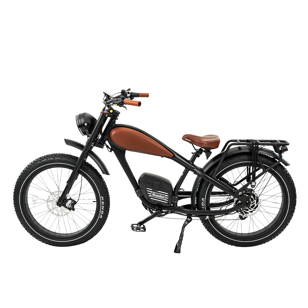 Roots Rider Cheetah 2 Pro high performance electric bike product image