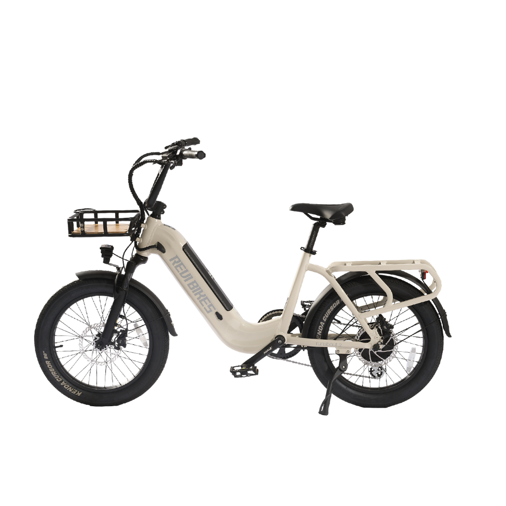 Roots Rider Runabout 2 step through cargo electric bike product image