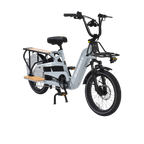 Roots Rider Flux cargo electric bike in Grey, full side view