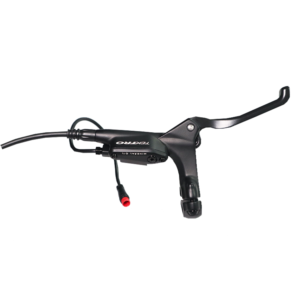 Hydraulic Brake for Cheetah