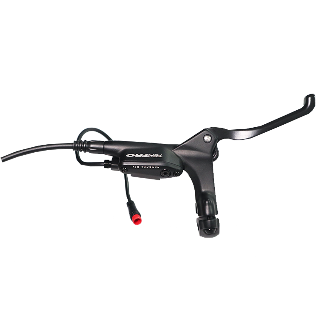 Hydraulic Brake for Cheetah