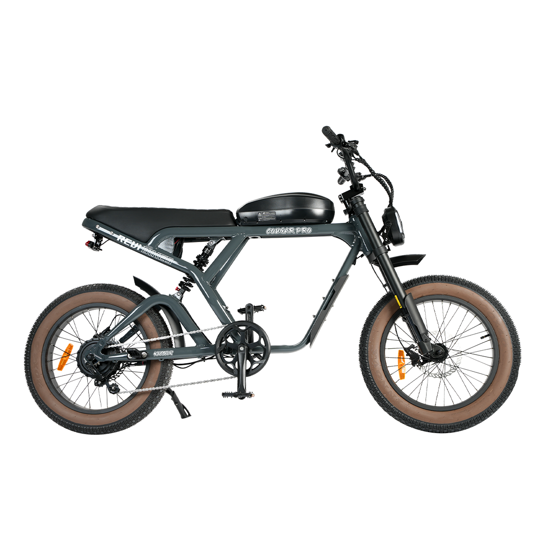Roots Rider Cougar electric bike in Antracit