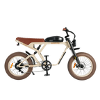 Roots Rider Cougar electric bike in Sand