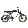 Roots Rider Cougar Pro electric bike in Antracit