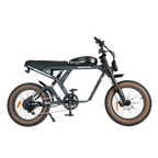 Roots Rider Cougar Pro electric bike in Antracit