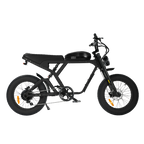 Roots Rider Cougar electric bike in Black