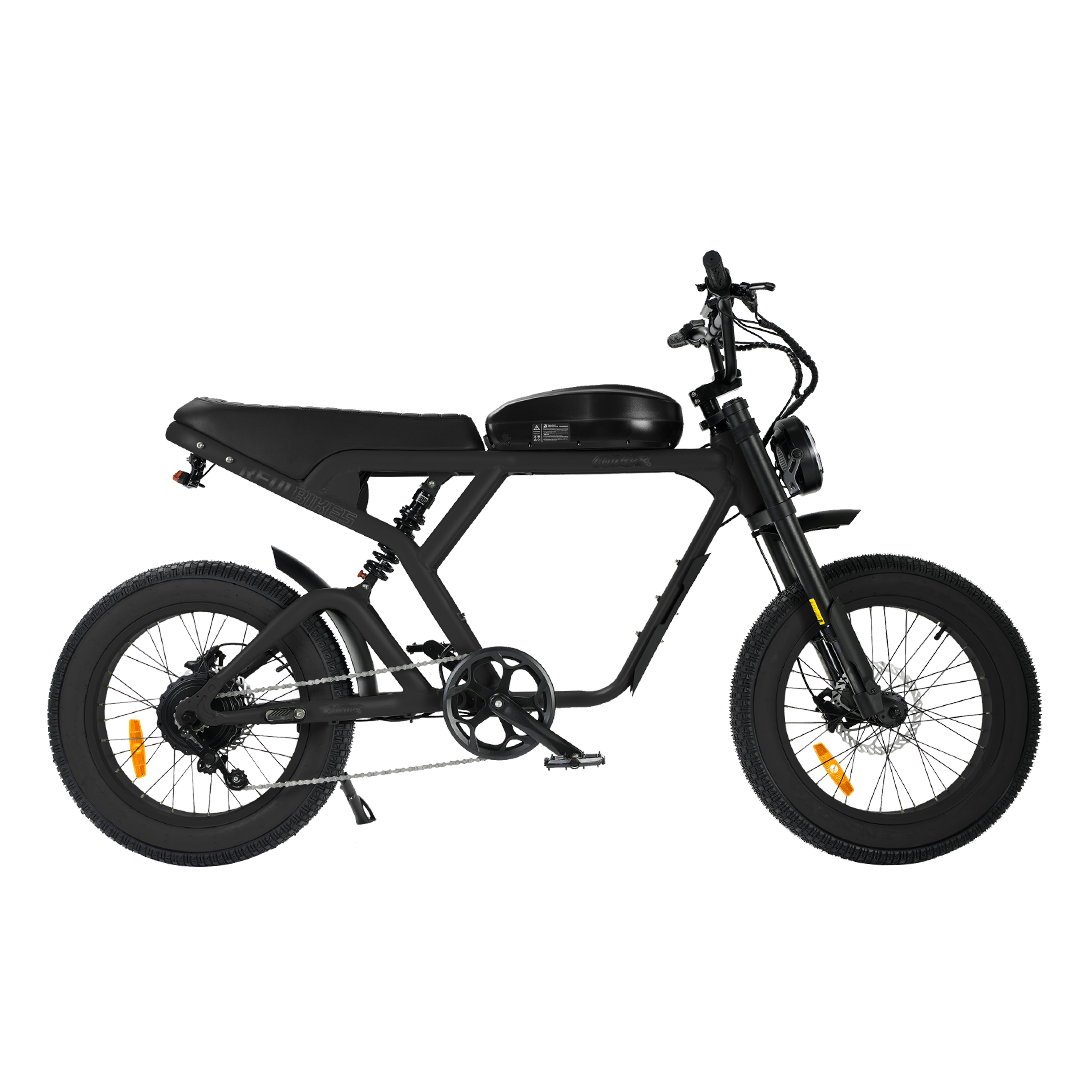 Roots Rider Cougar electric bike in Black