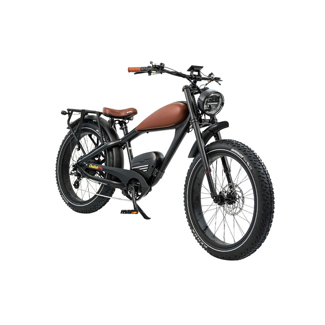 Roots Rider Cheetah 2 Pro high performance electric bike product image