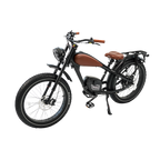 Roots Rider Cheetah 2 Pro high performance electric bike product image