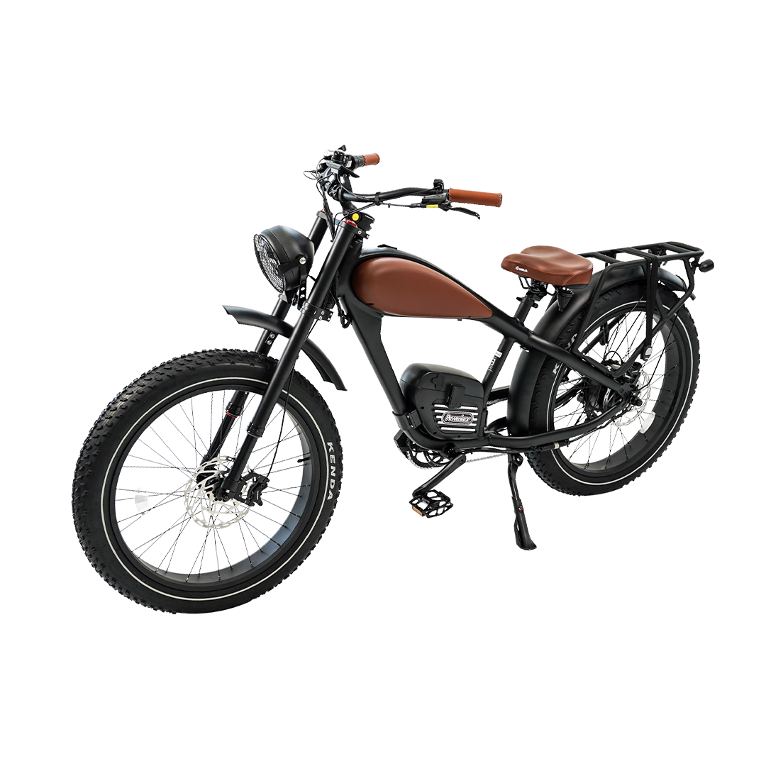 Roots Rider Cheetah 2 Pro high performance electric bike product image