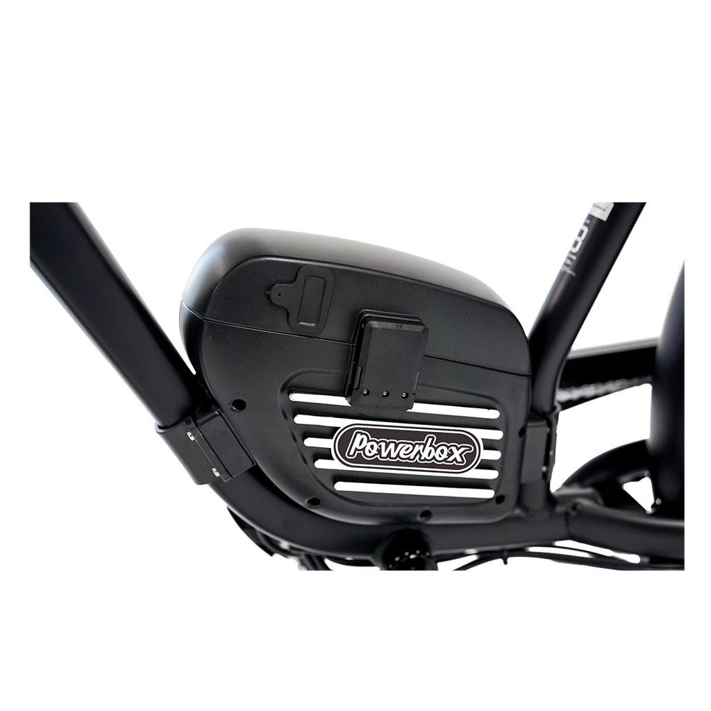 Roots Rider Cheetah 2 Pro high performance electric bike product image