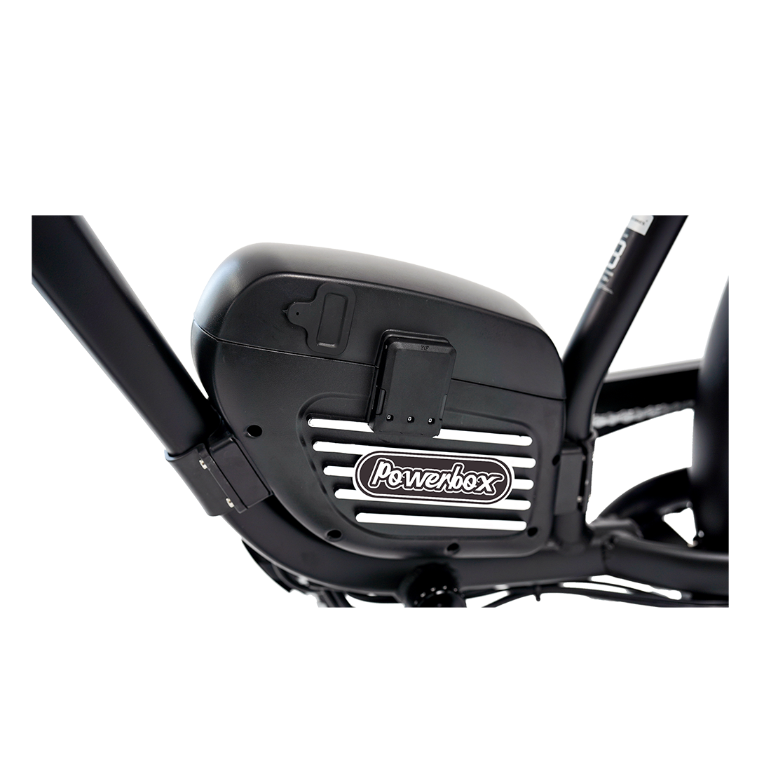 Roots Rider Cheetah 2 Pro high performance electric bike product image