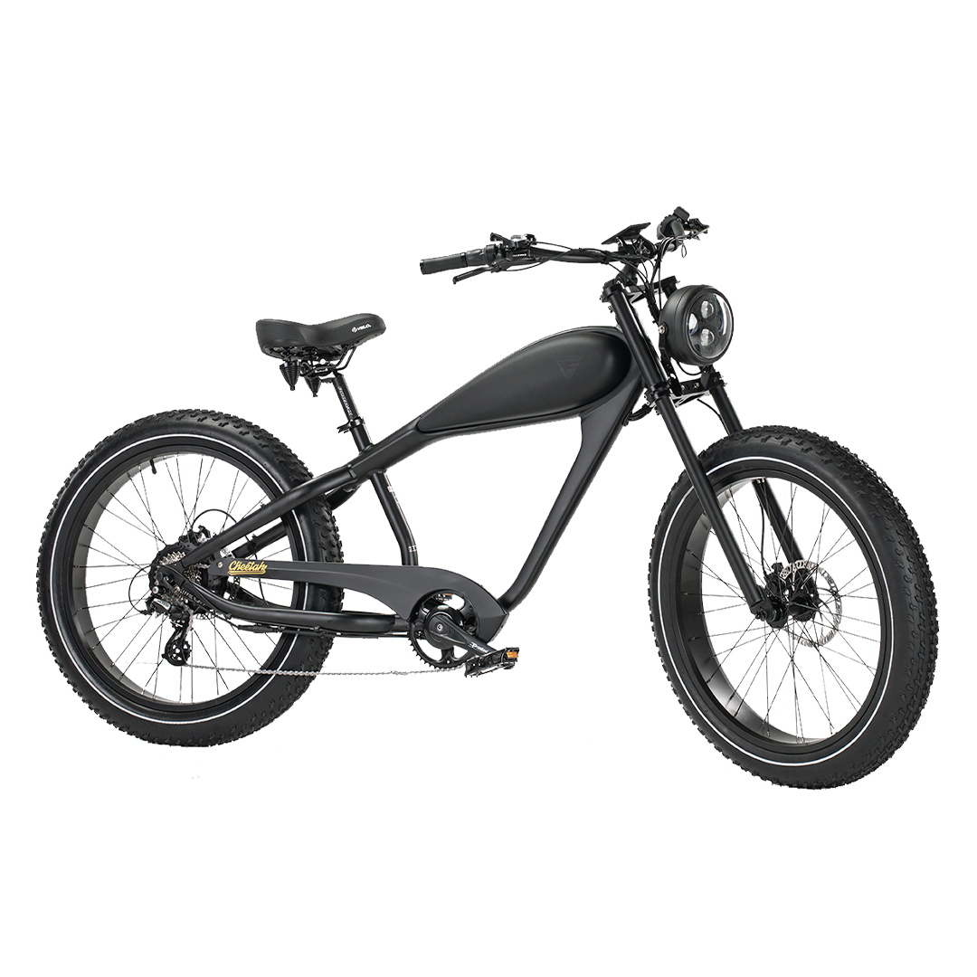 ROOTS RIDER Cheetah 2 electric bike, three-quarter front view