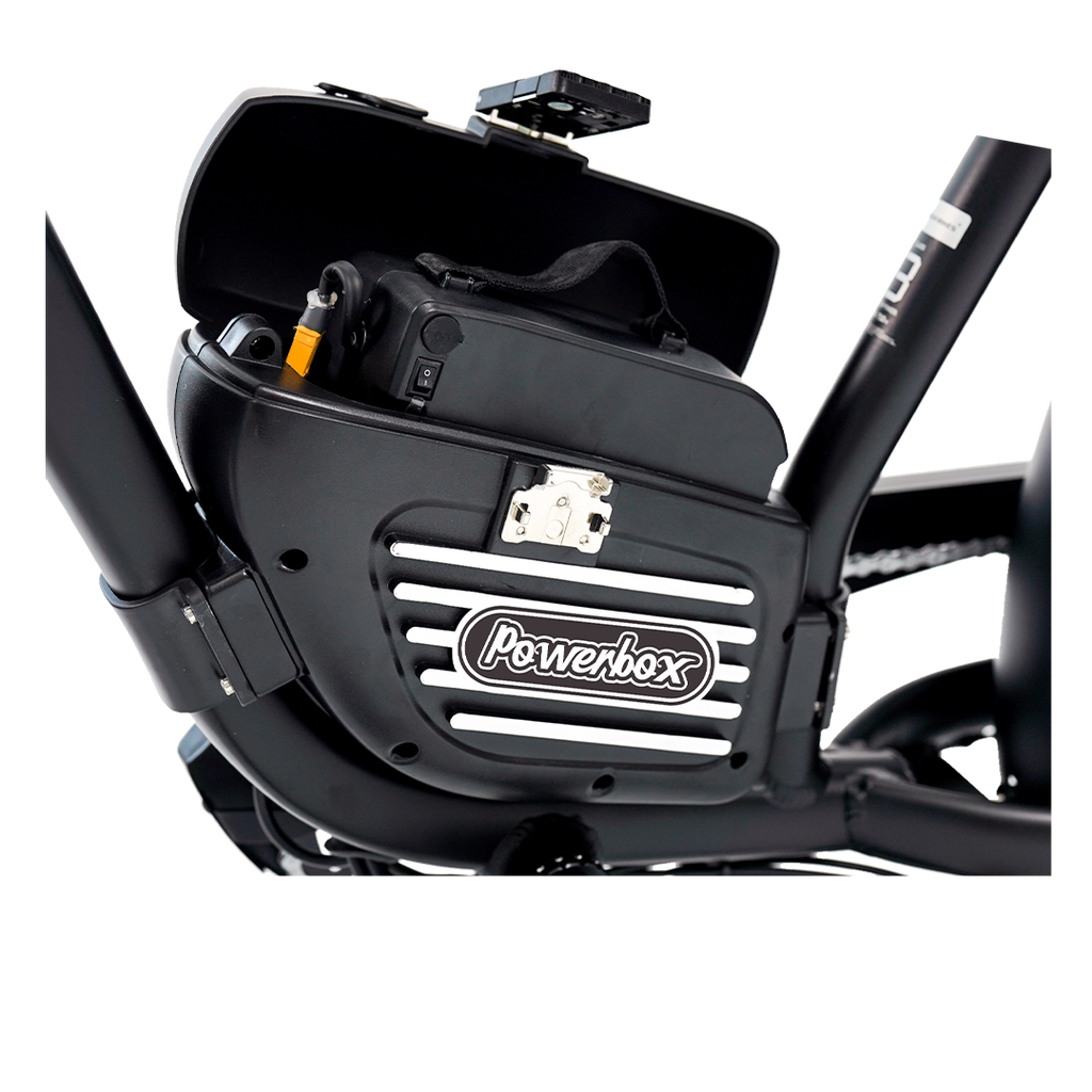 Roots Rider Cheetah 2 Pro high performance electric bike product image