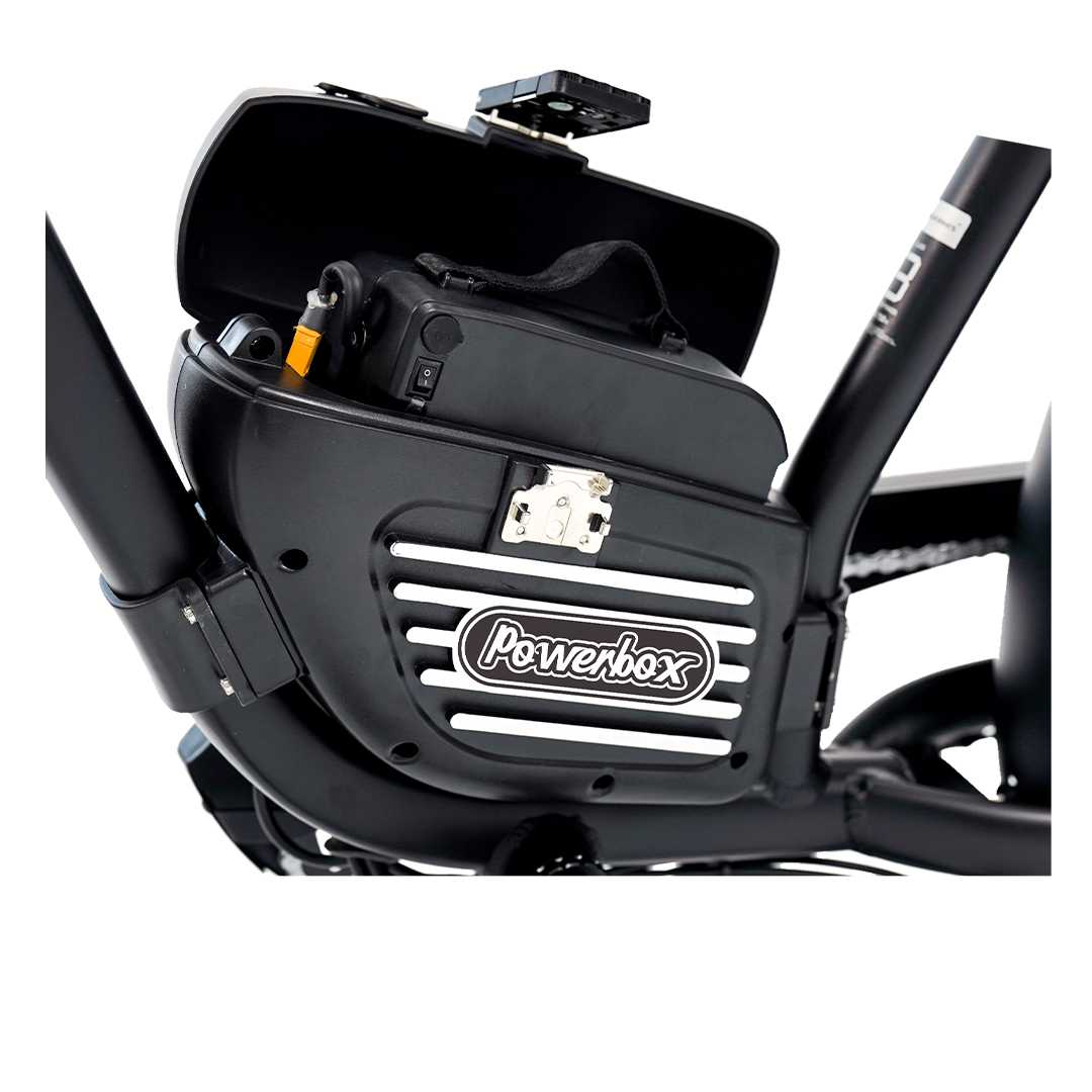 Roots Rider Cheetah 2 Pro high performance electric bike product image