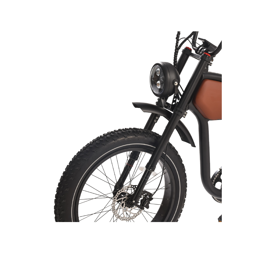 Roots Rider Prowler vintage cafe racer electric bike product image