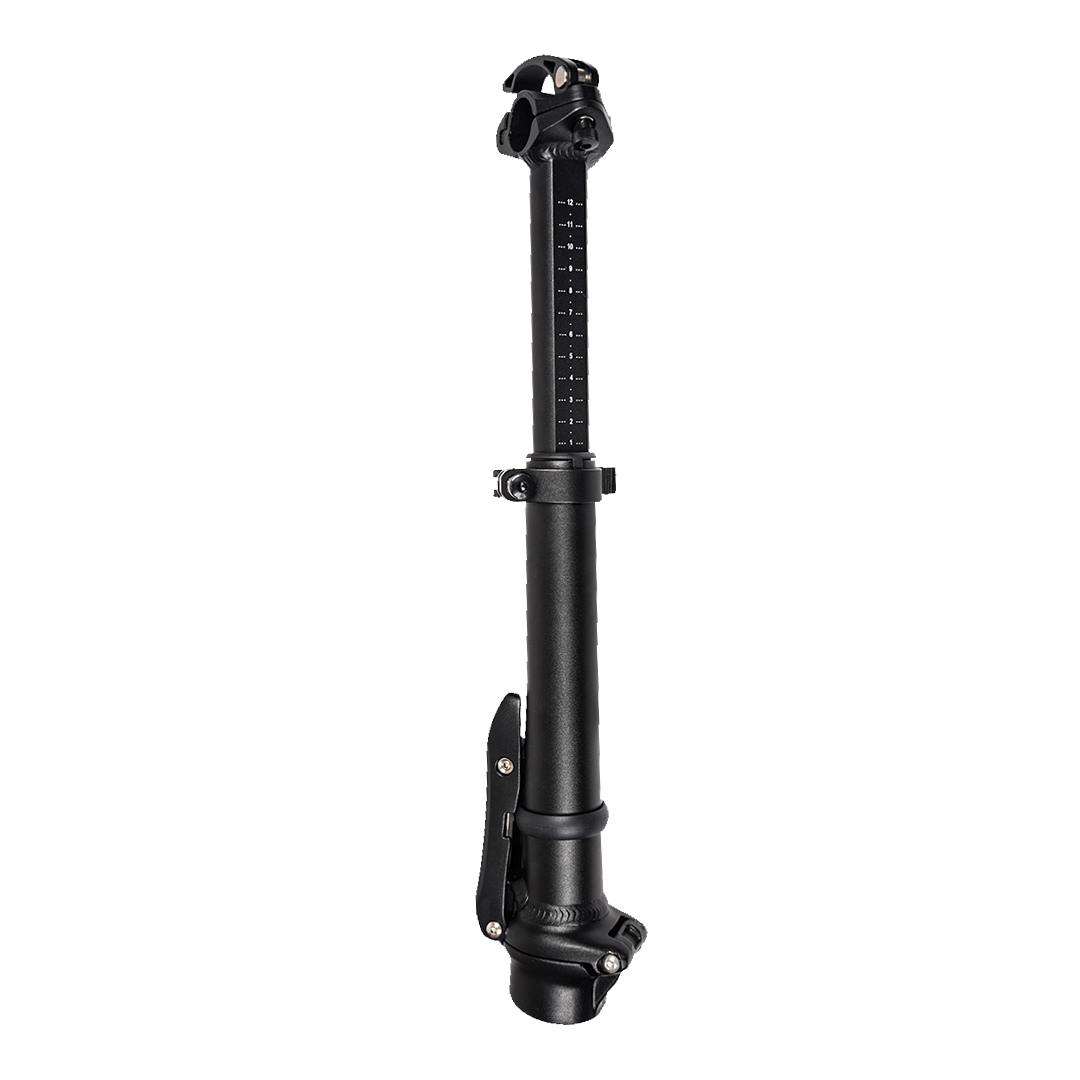 Rebel 2 Stem