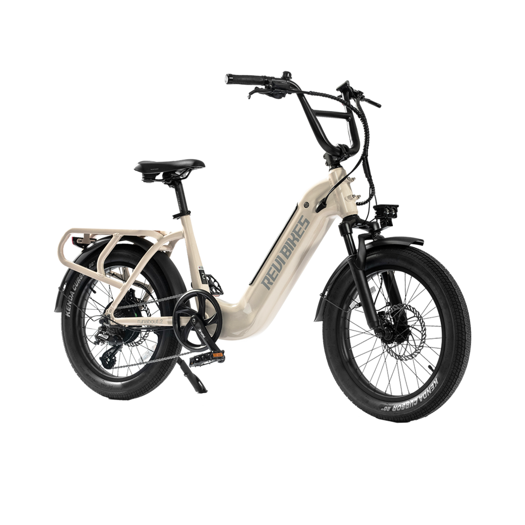 Roots Rider Runabout 2 step through cargo electric bike product image