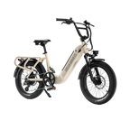 Roots Rider Runabout 2 step through cargo electric bike product image