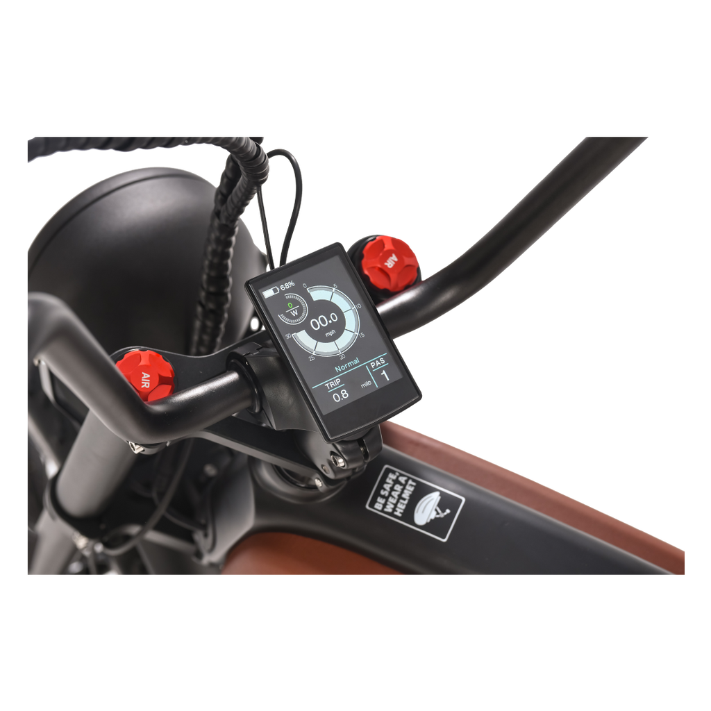Roots Rider Prowler vintage cafe racer electric bike product image