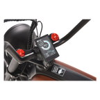 Roots Rider Prowler vintage cafe racer electric bike product image