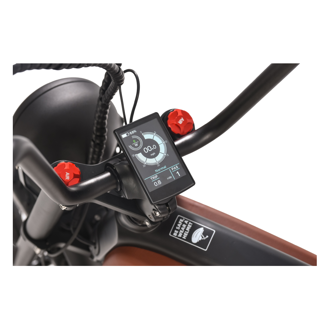 Roots Rider Prowler vintage cafe racer electric bike product image