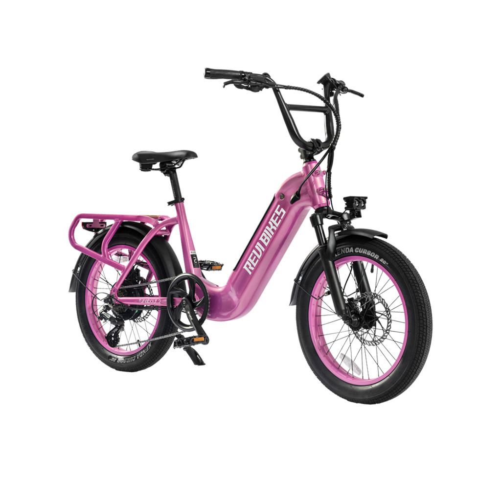 Roots Rider Runabout 2 step through cargo electric bike product image