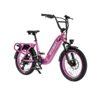 Roots Rider Runabout 2 step through cargo electric bike product image