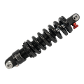 Cougar Rear Suspension