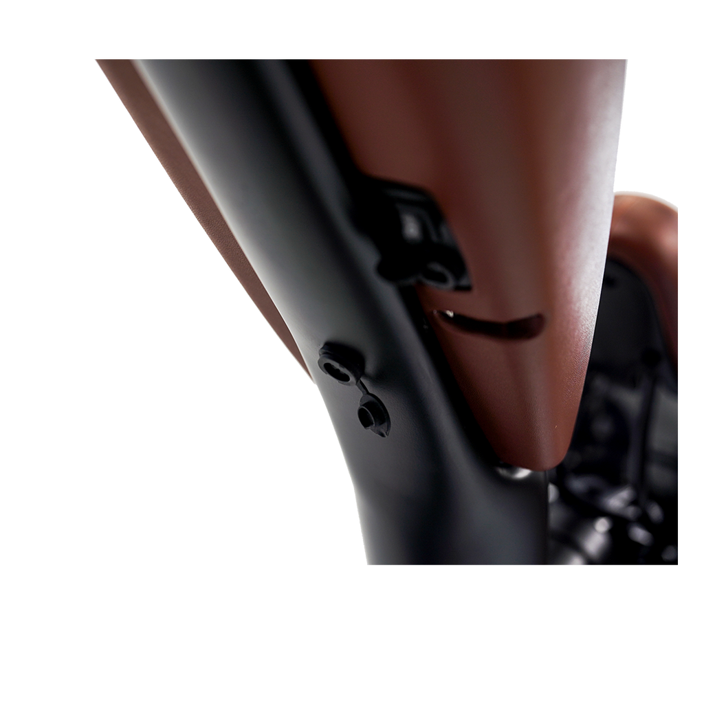 Roots Rider Cheetah 2 Pro high performance electric bike product image