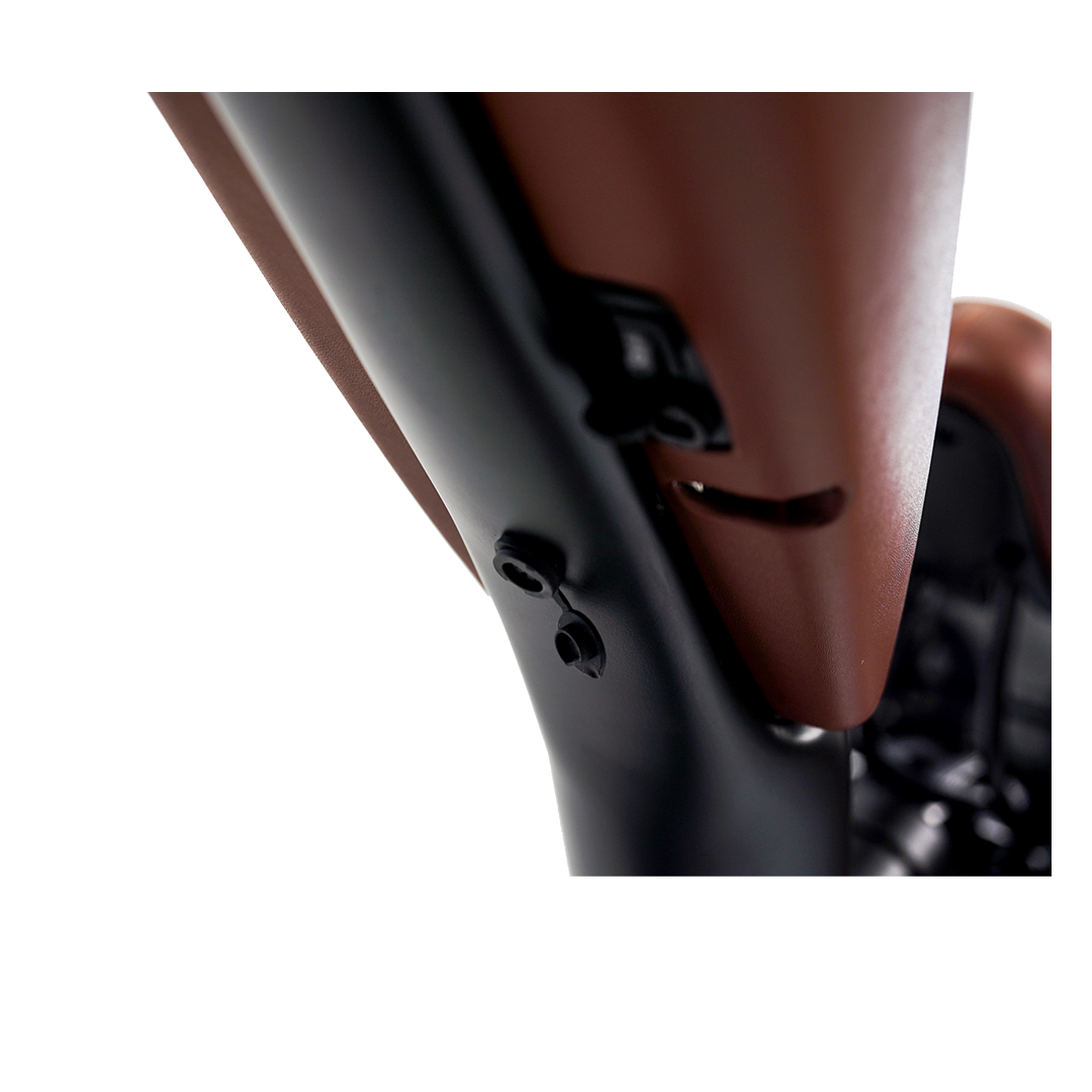 Roots Rider Cheetah 2 Pro high performance electric bike product image