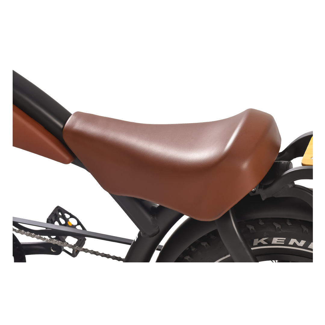Roots Rider Prowler vintage cafe racer electric bike product image