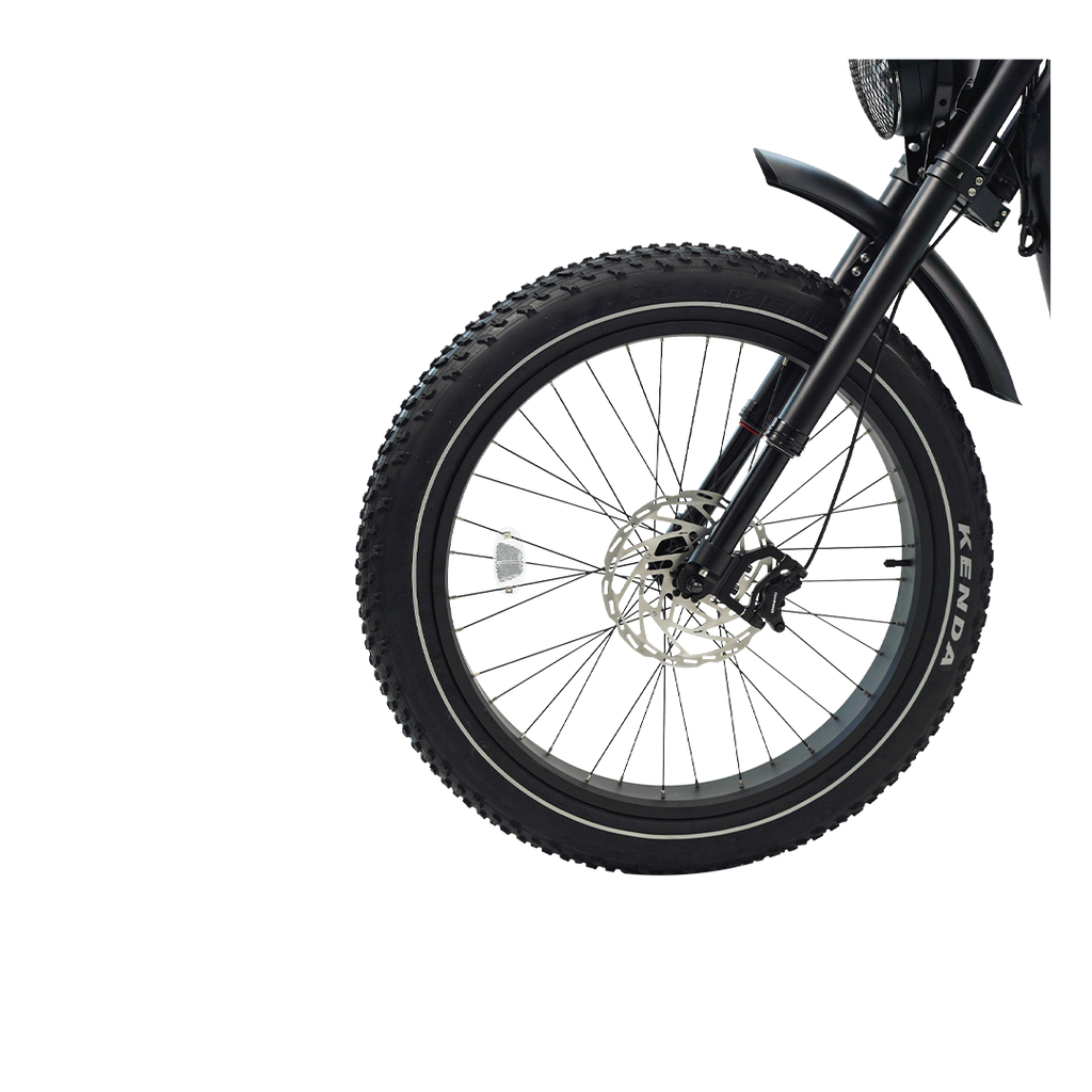 Roots Rider Cheetah 2 Pro high performance electric bike product image
