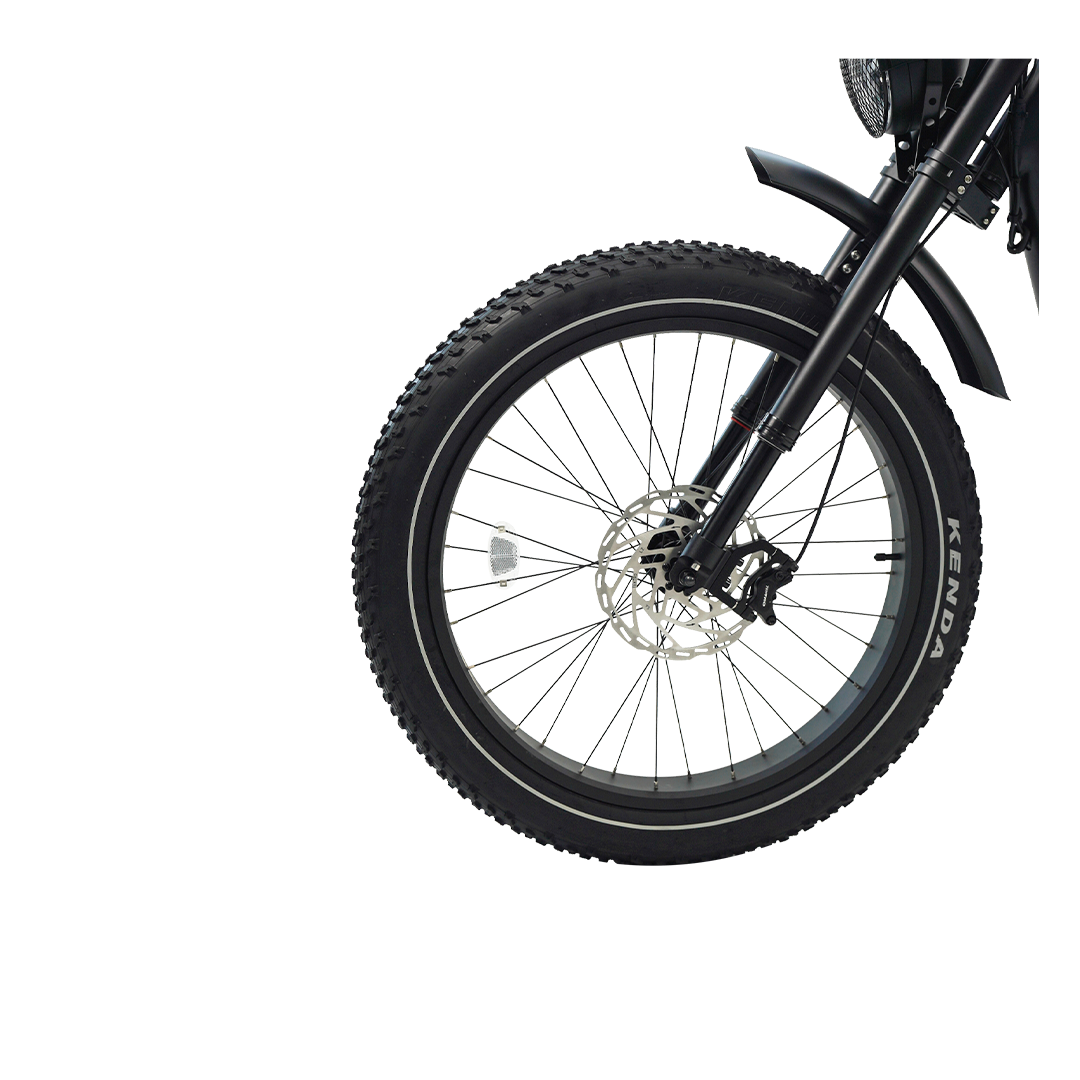 Roots Rider Cheetah 2 Pro high performance electric bike product image
