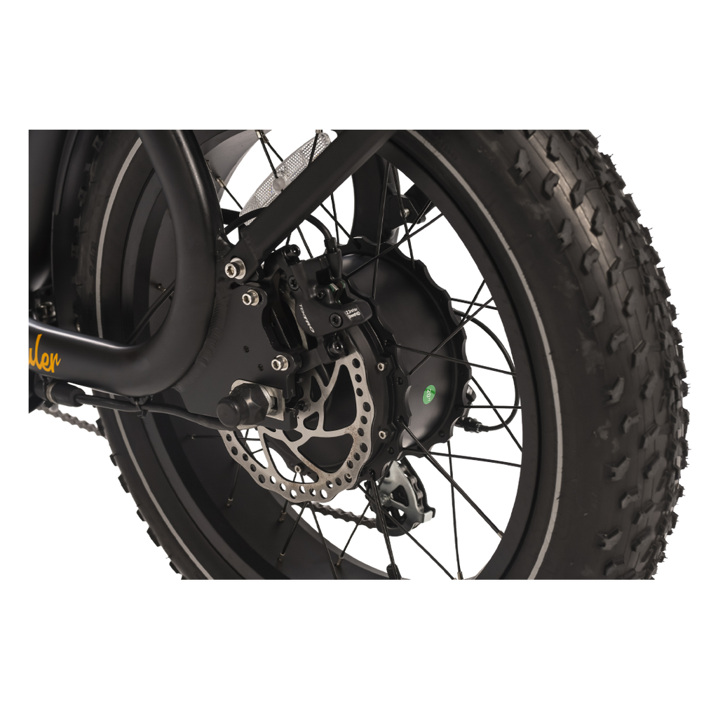 Roots Rider Prowler vintage cafe racer electric bike product image